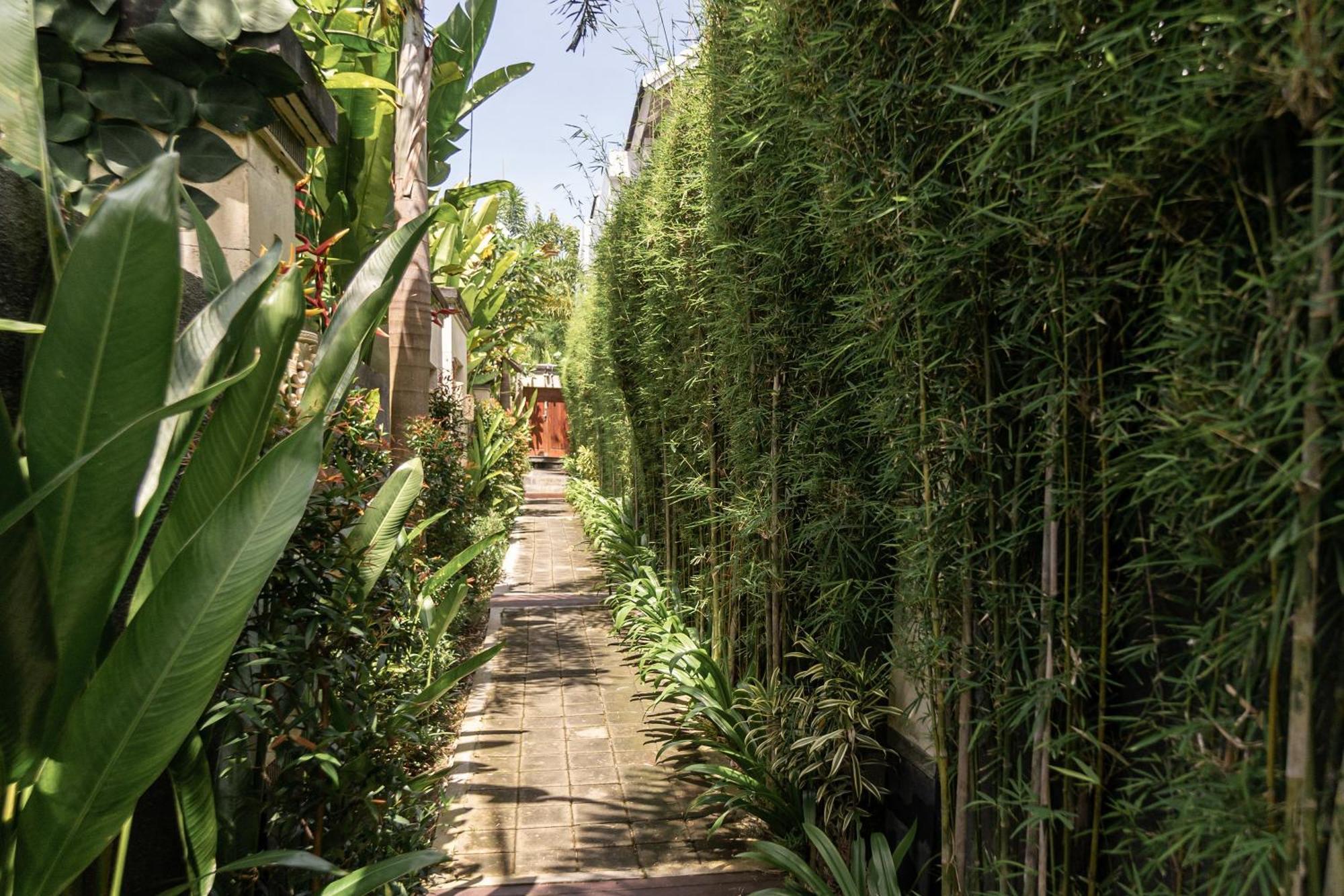 Belle Asana Villa Canggu Eksteriør billede