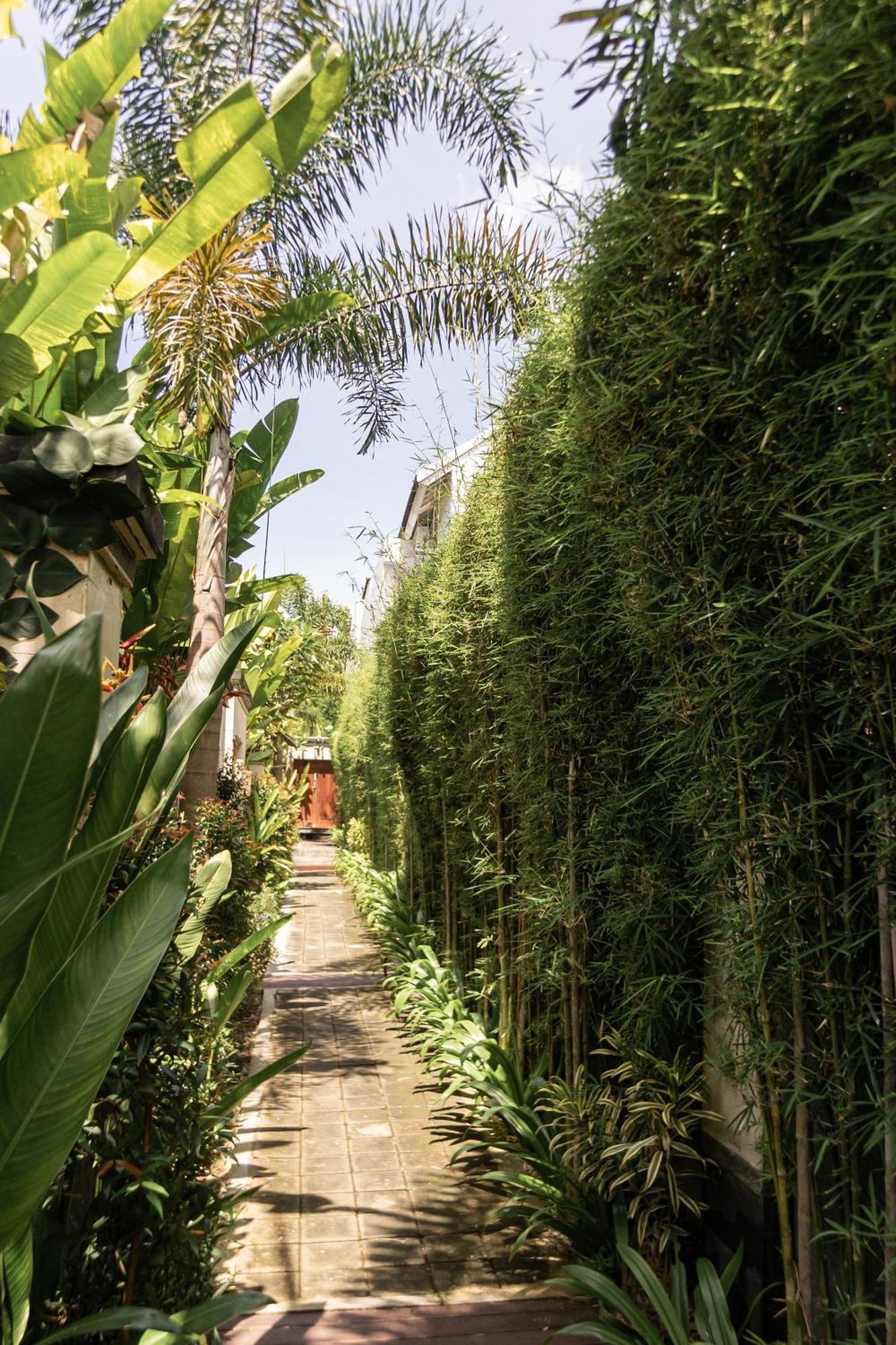 Belle Asana Villa Canggu Eksteriør billede